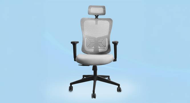 Ignis Grey Ergonomic Study Chair (Grey) by Urban Ladder - - 