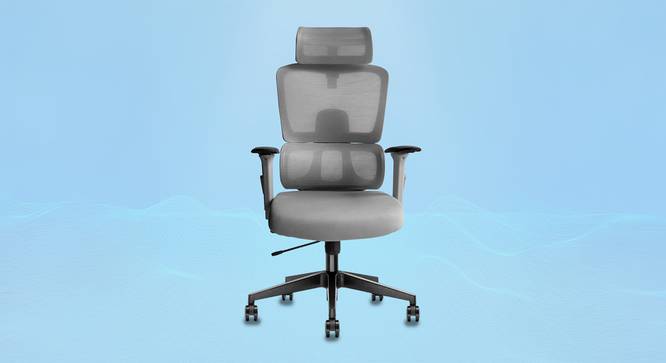 Imperia Ergonomic Study Chair (Grey) by Urban Ladder - - 994224