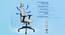Ignis Grey Ergonomic Study Chair (Grey) by Urban Ladder - - 