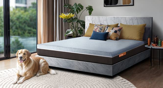 Laxe Natural Pincore Single Size Latex Mattress (Single Mattress Type, 78 x 36 in (Standard) Mattress Size, 6 in Mattress Thickness (in Inches)) by Urban Ladder - - 
