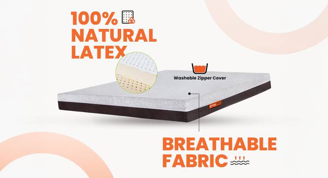 Laxe Natural Pincore Single Size Latex Mattress (Single Mattress Type, 8 in Mattress Thickness (in Inches), 72 x 36 in Mattress Size) by Urban Ladder - - 
