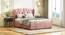 Holmebrook Upholstered Storage Bed (Queen Bed Size, Desert Rose) by Urban Ladder - - 