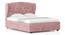 Holmebrook Upholstered Storage Bed (Queen Bed Size, Desert Rose) by Urban Ladder - - 