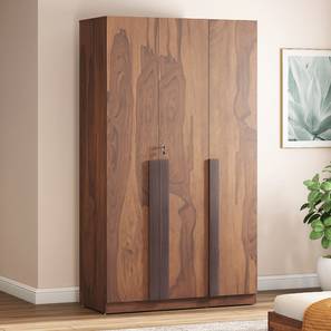Modular Wardrobe Design Rodrigues Engineered Wood Door Wardrobe Without Mirror in Sheesham Finish