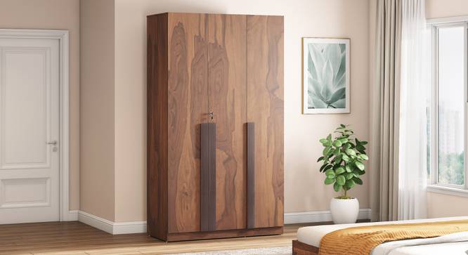 Rodrigues 3 Door Wardrobe in Sheesham Paper Finish (Three Door, Sheesham Finish) by Urban Ladder - - 995788