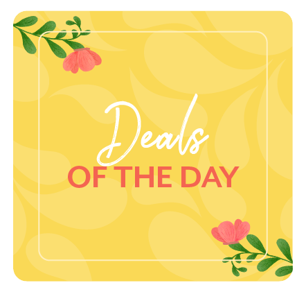 Deal Zone_Daily dreals