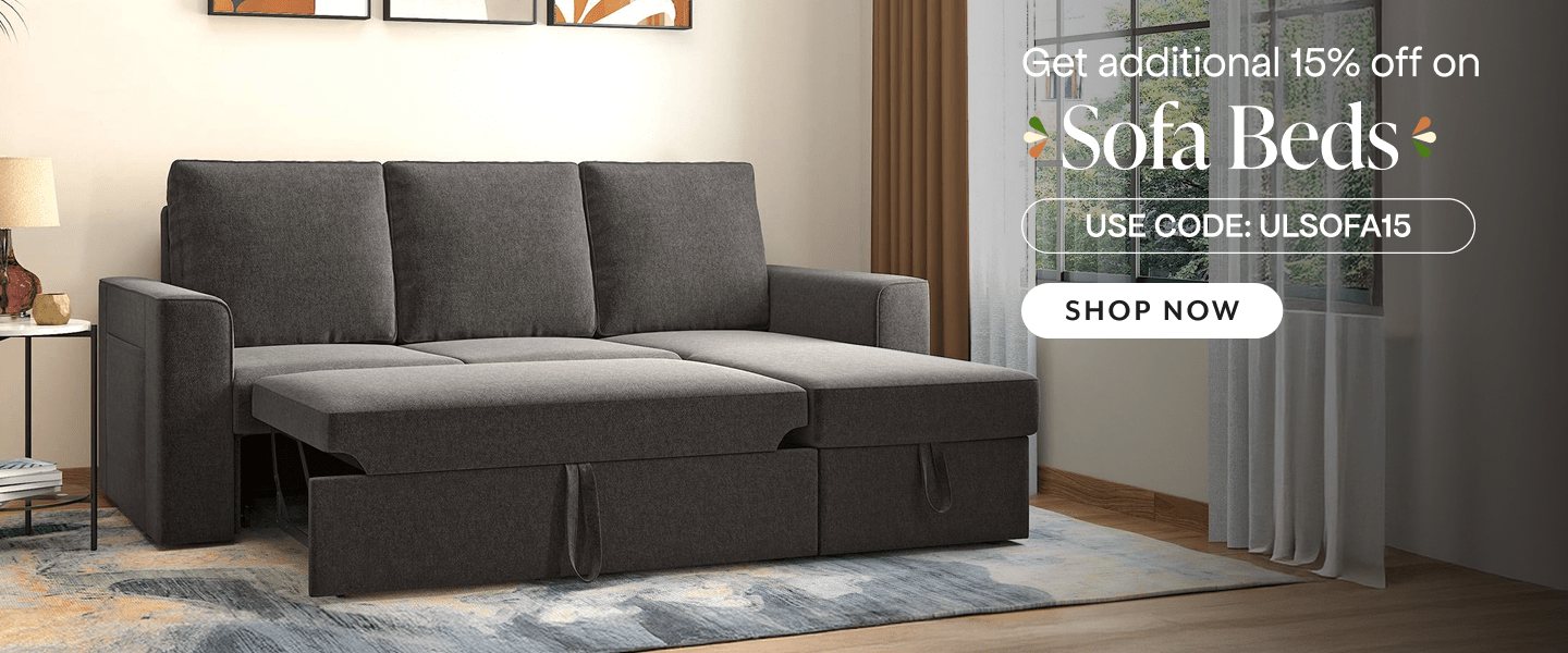 Sofa Cum Beds Slideshow