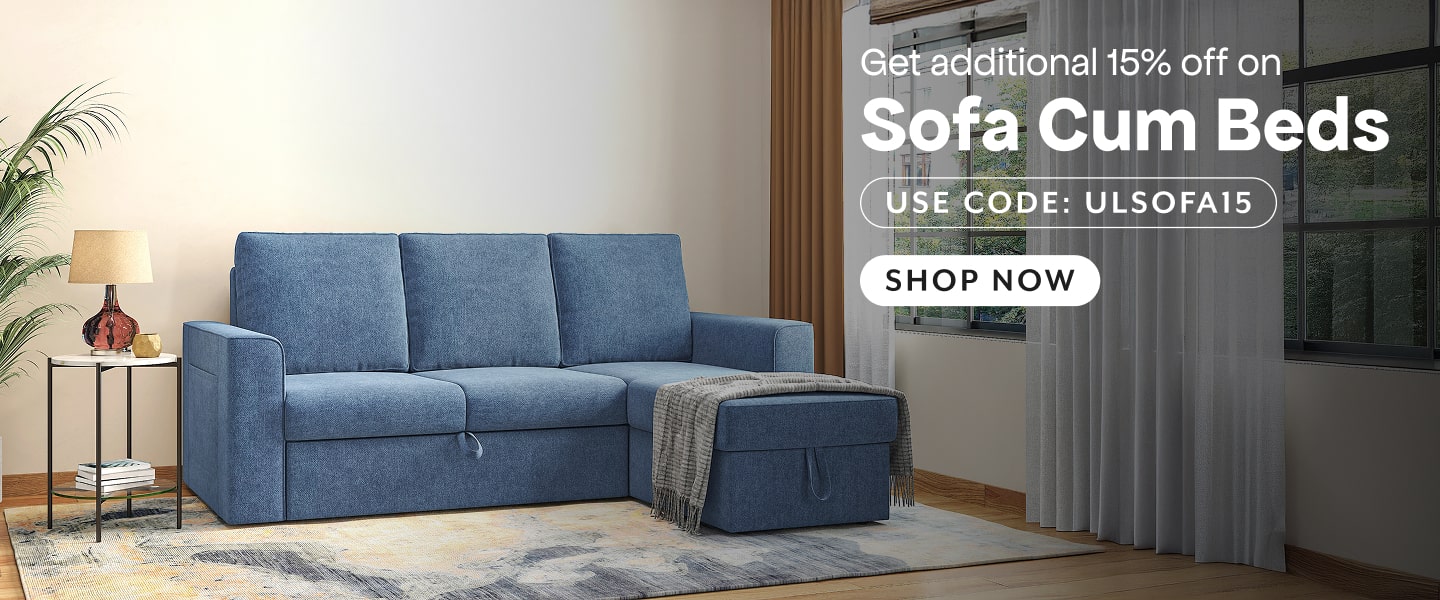Sofa Cum Beds Slideshow