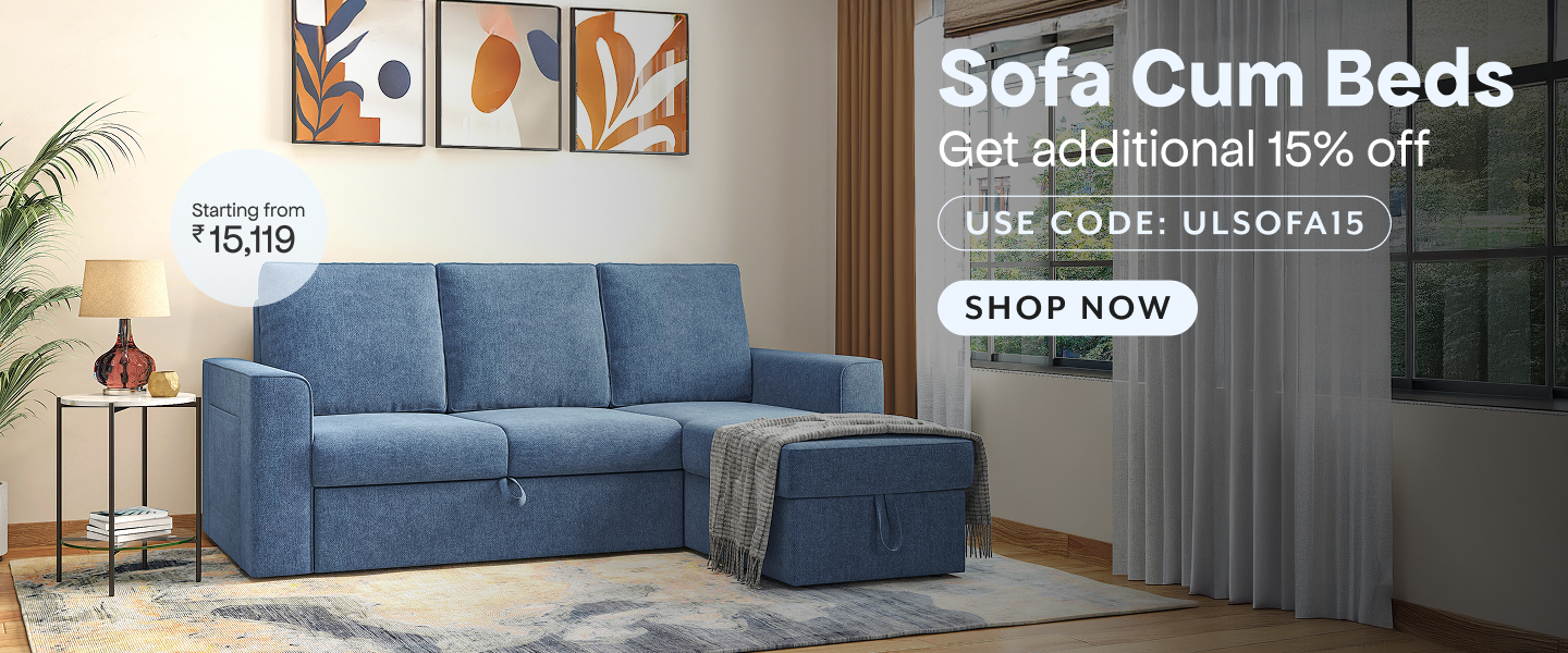Sofa Cum Beds Slideshow