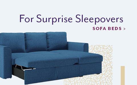 Celebrate homedesktop sofa beds