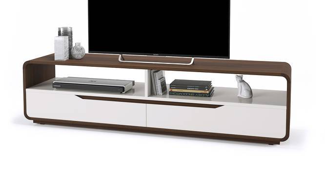 Baltoro High Gloss 60 Tv Unit Urban Ladder Baltoro High Gloss 60 Tv Unit