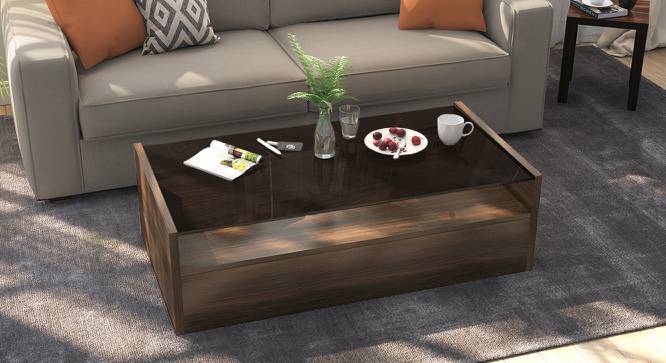 Alita Storage Coffee Table Urban Ladder Alita Storage Coffee Table Urban Ladder