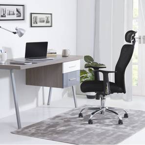 study chair online check