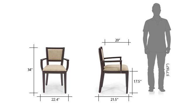 Aurelio study deals chair
