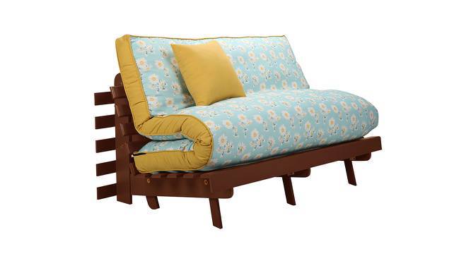 Futon shop sofa bed