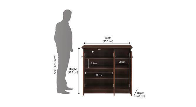 Winter hotsell shoe rack