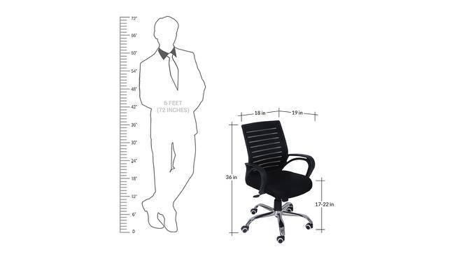 Urban ladder eisner low top back office chair