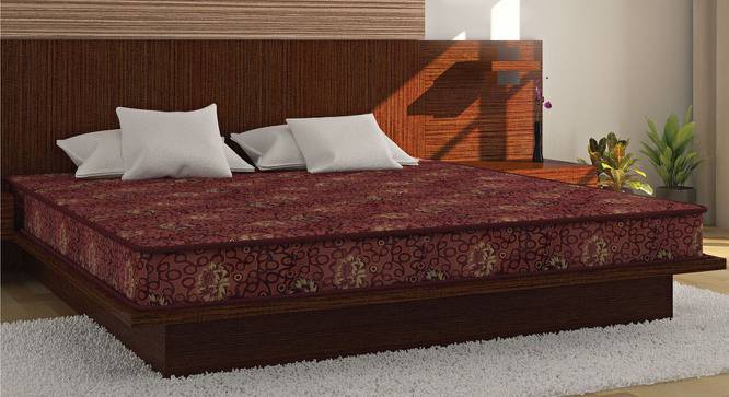 Coir foam mattress deals