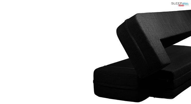Brandy 4 Seater Fold Out Sofa cum Bed in Black Colour Urban Ladder