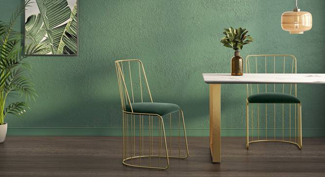 Dining chairs on sale urban ladder