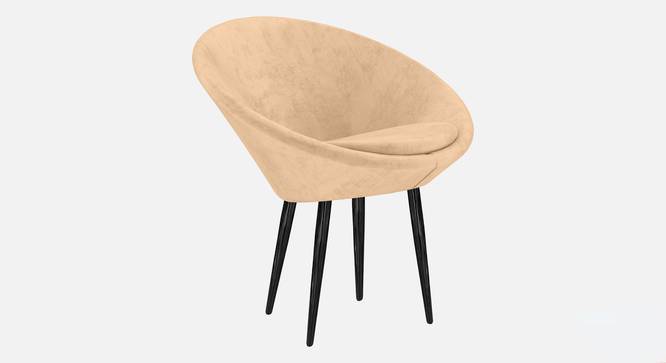 Conic lounge 2025