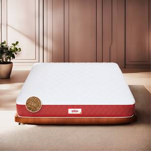 Single shop mattress price