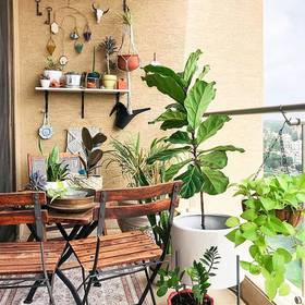 A mini jungle out here with a little bit of boho #mydesiswag, love from @UrbanLadder