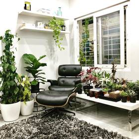 "Finally!!! created my cozy corner by the window and my beautiful plants.

So this is where I read, journal & have my morning and evening tea  #chai #cozycorner #journal #readingnook #surroundedbyplants #plantaddict #mondaymotivation #Urbanladder "